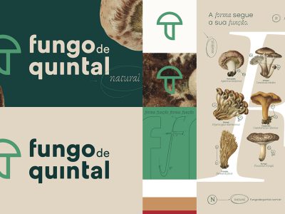 1-FDQ-world-brand-design